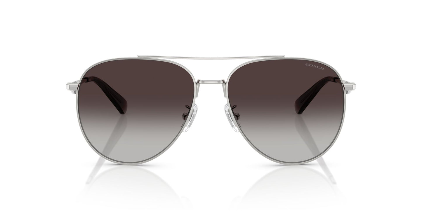 0HC7169-Polyamide Standard Woman Sunwear-Shiny Silver