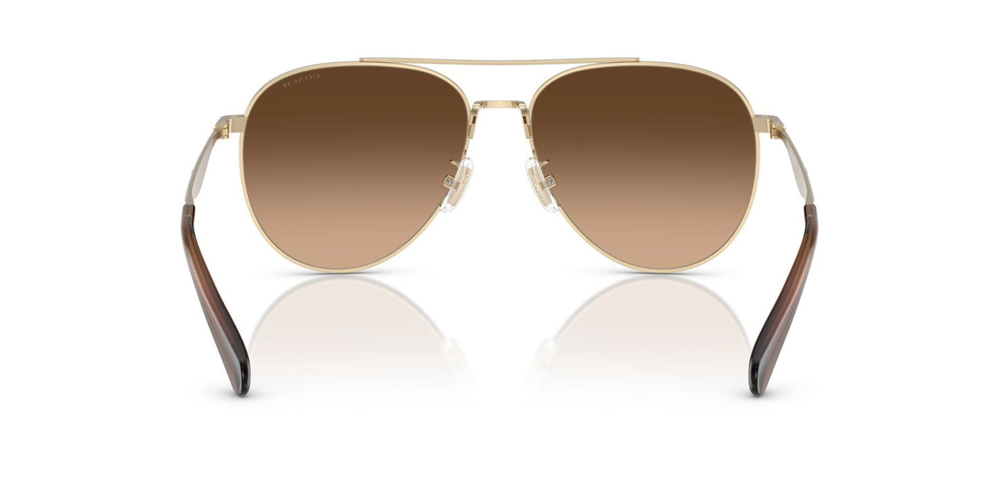 0HC7169-Polyamide Standard Woman Sunwear-Shiny Light Gold