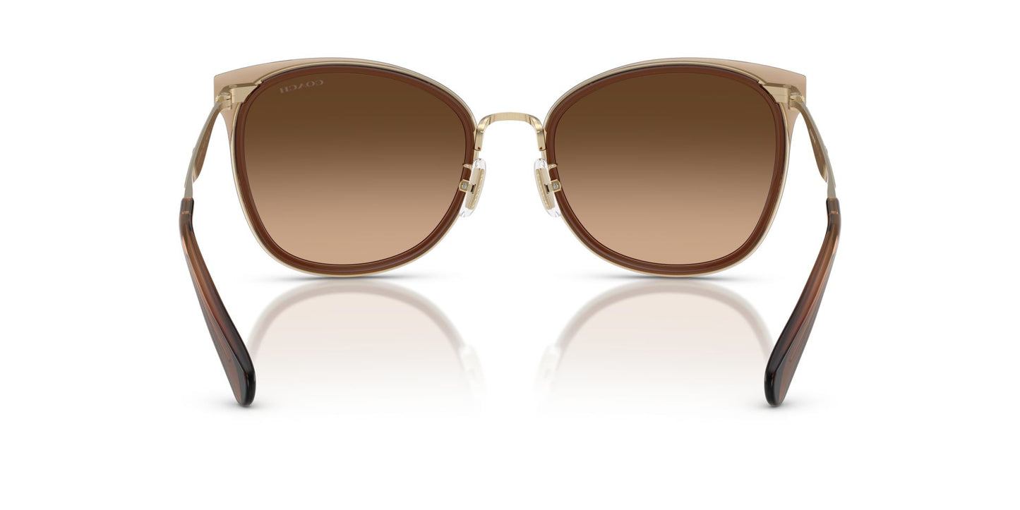 0HC7170-Polyamide Standard Woman Sunwear-Light Gold / Brown
