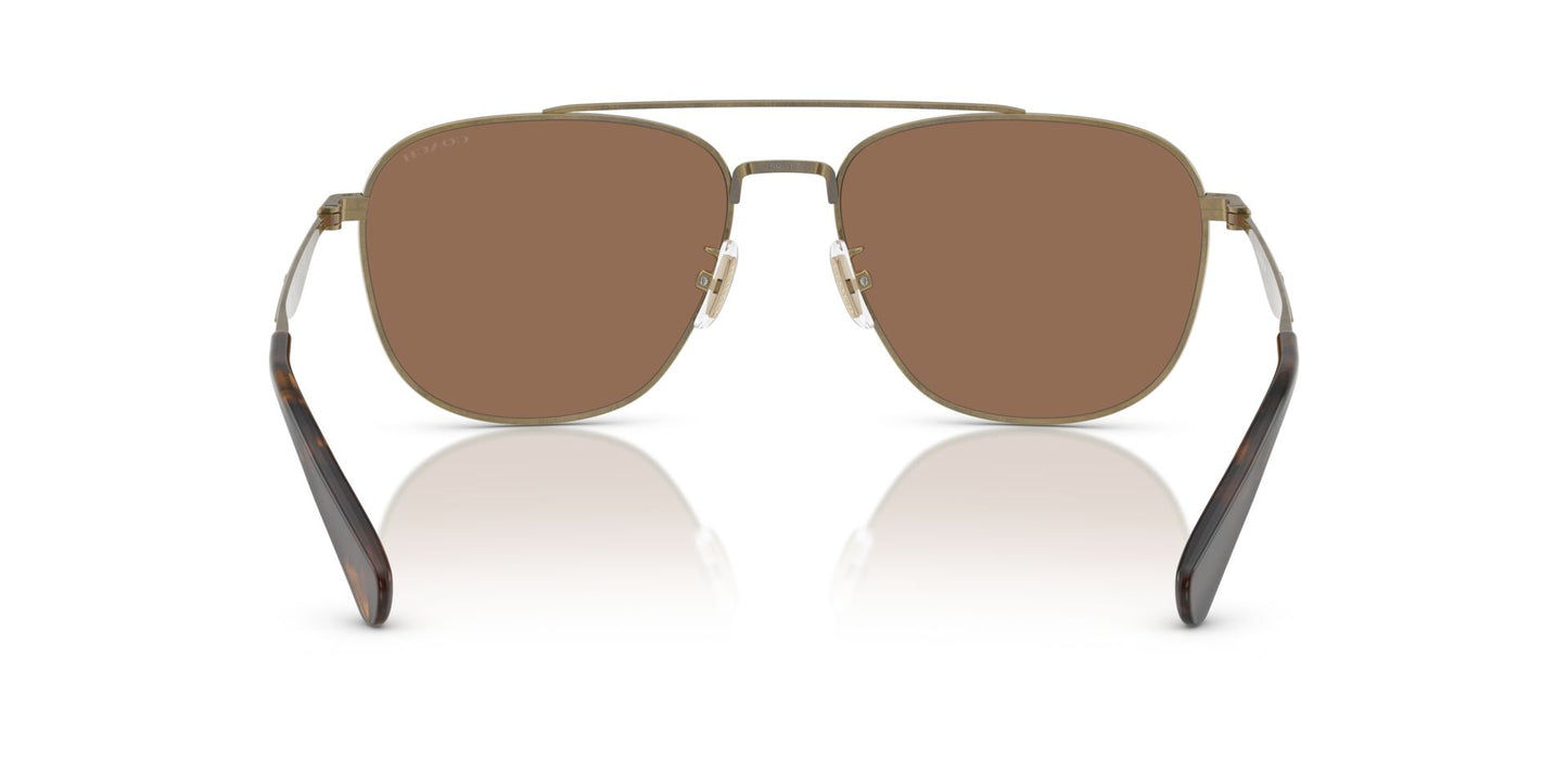 0HC7172-Polyamide Standard Man Sunwear-Antique Gold