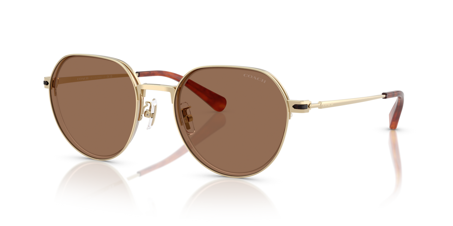 0HC7179-Coach Sunwear-Shiny Light Gold