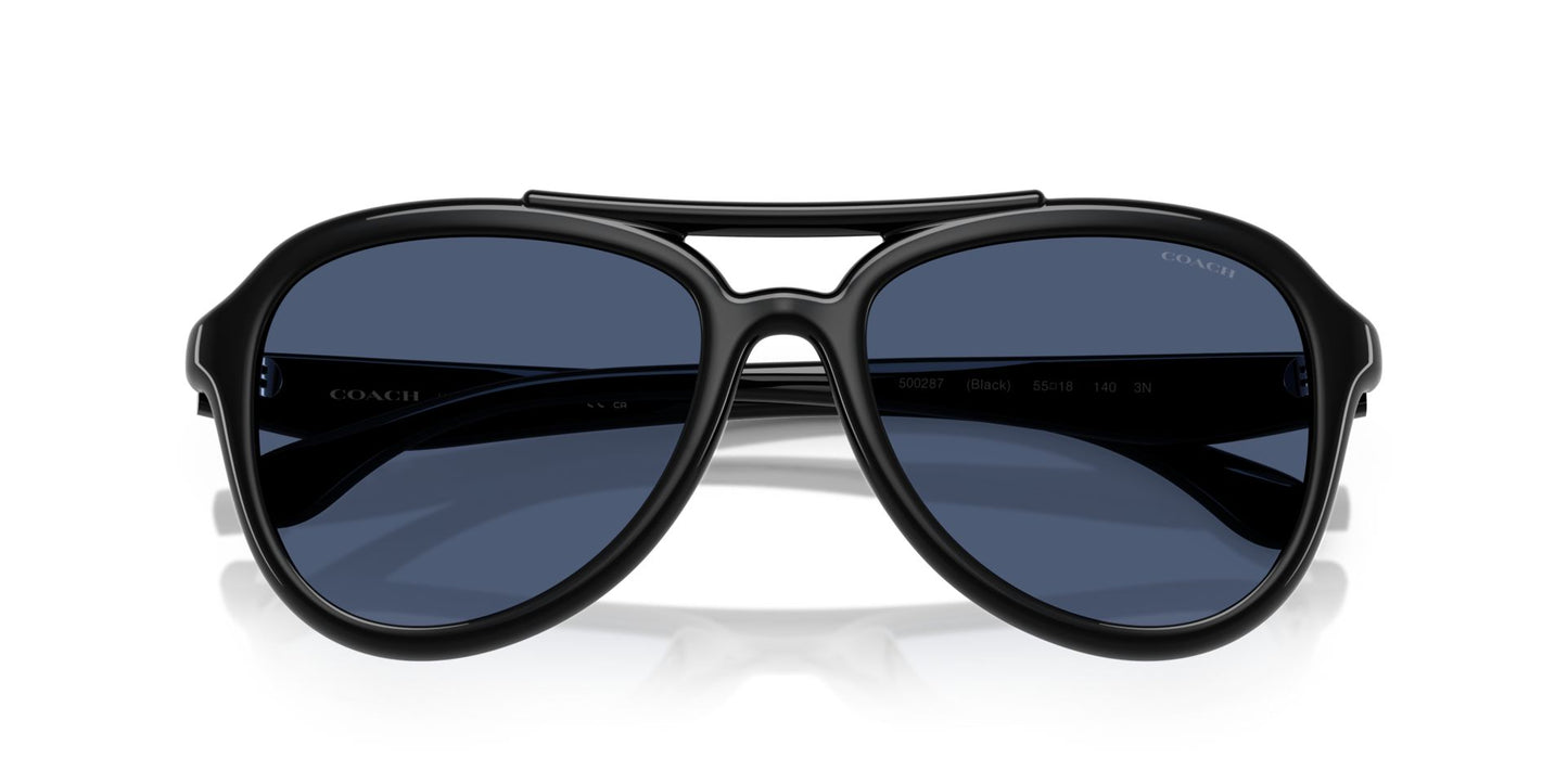 0HC8406U-Policarbonate Standard Woman Sunwear-Black