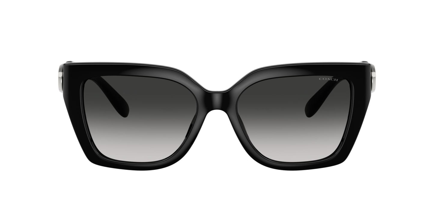 0HC8408U-Injected Woman Sunglass-Black