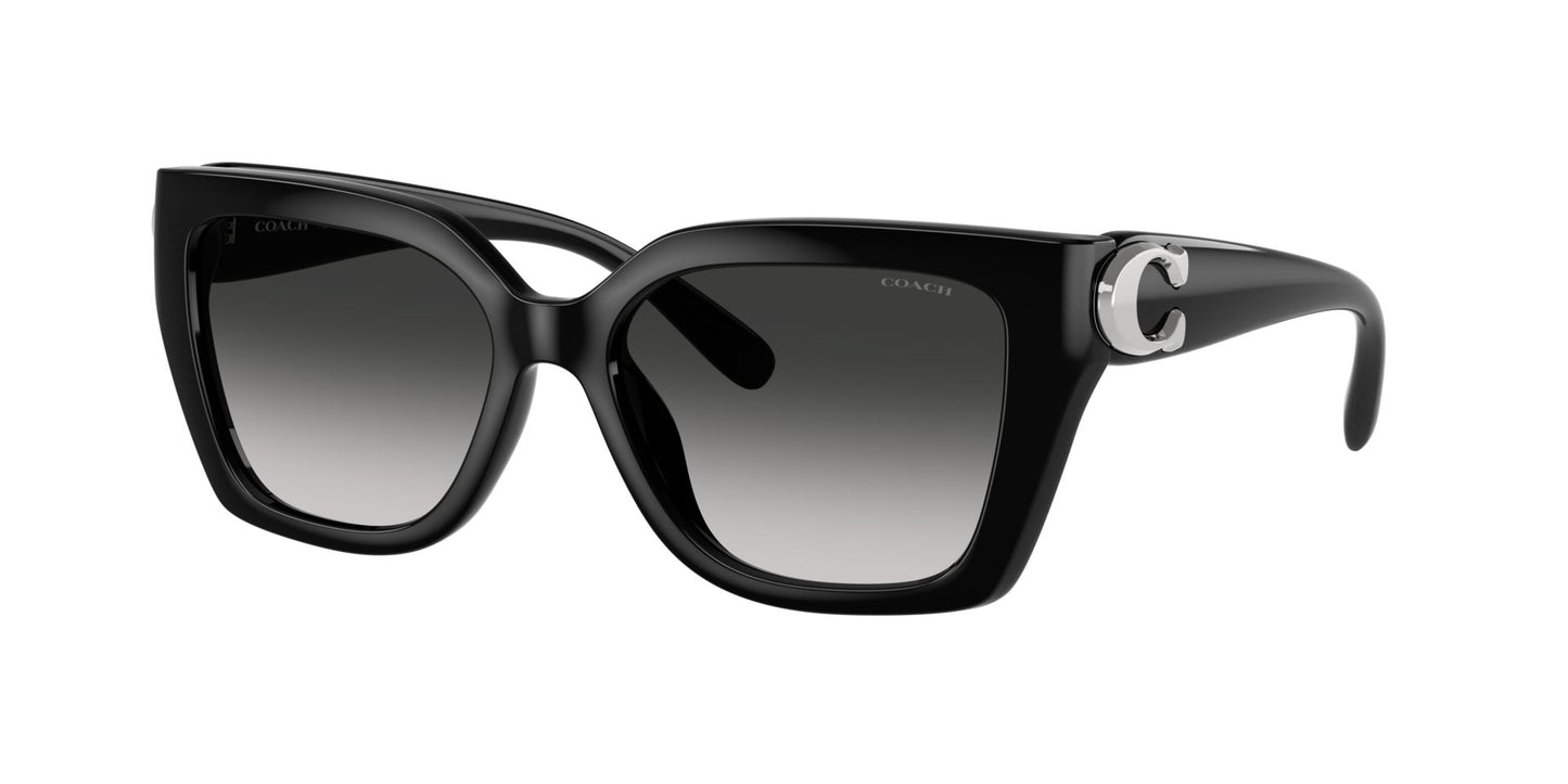 0HC8408U-Injected Woman Sunglass-Black