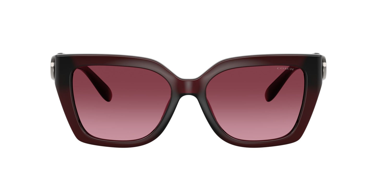 0HC8408U-Injected Woman Sunglass-Milky Burgundy