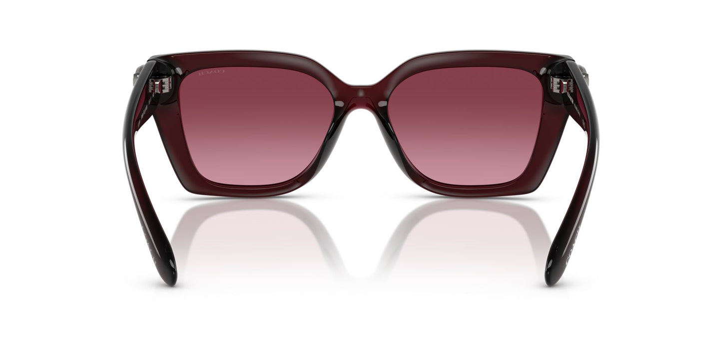 0HC8408U-Injected Woman Sunglass-Milky Burgundy