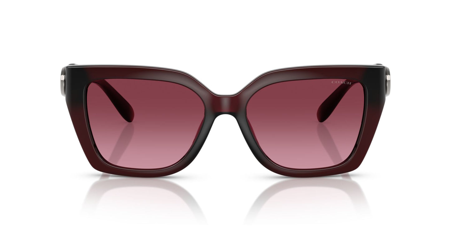 0HC8408U-Injected Woman Sunglass-Milky Burgundy