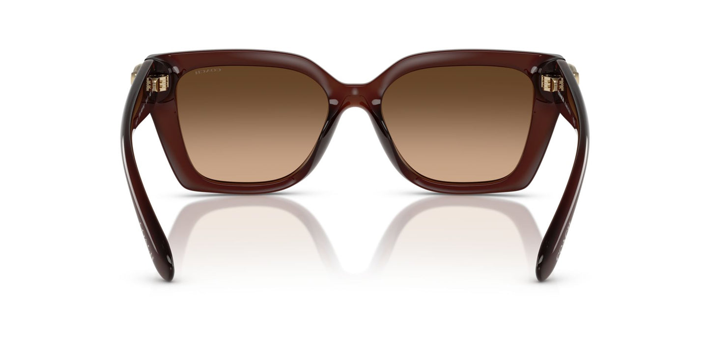 0HC8408U-Injected Woman Sunglass-Milky Hazelnut