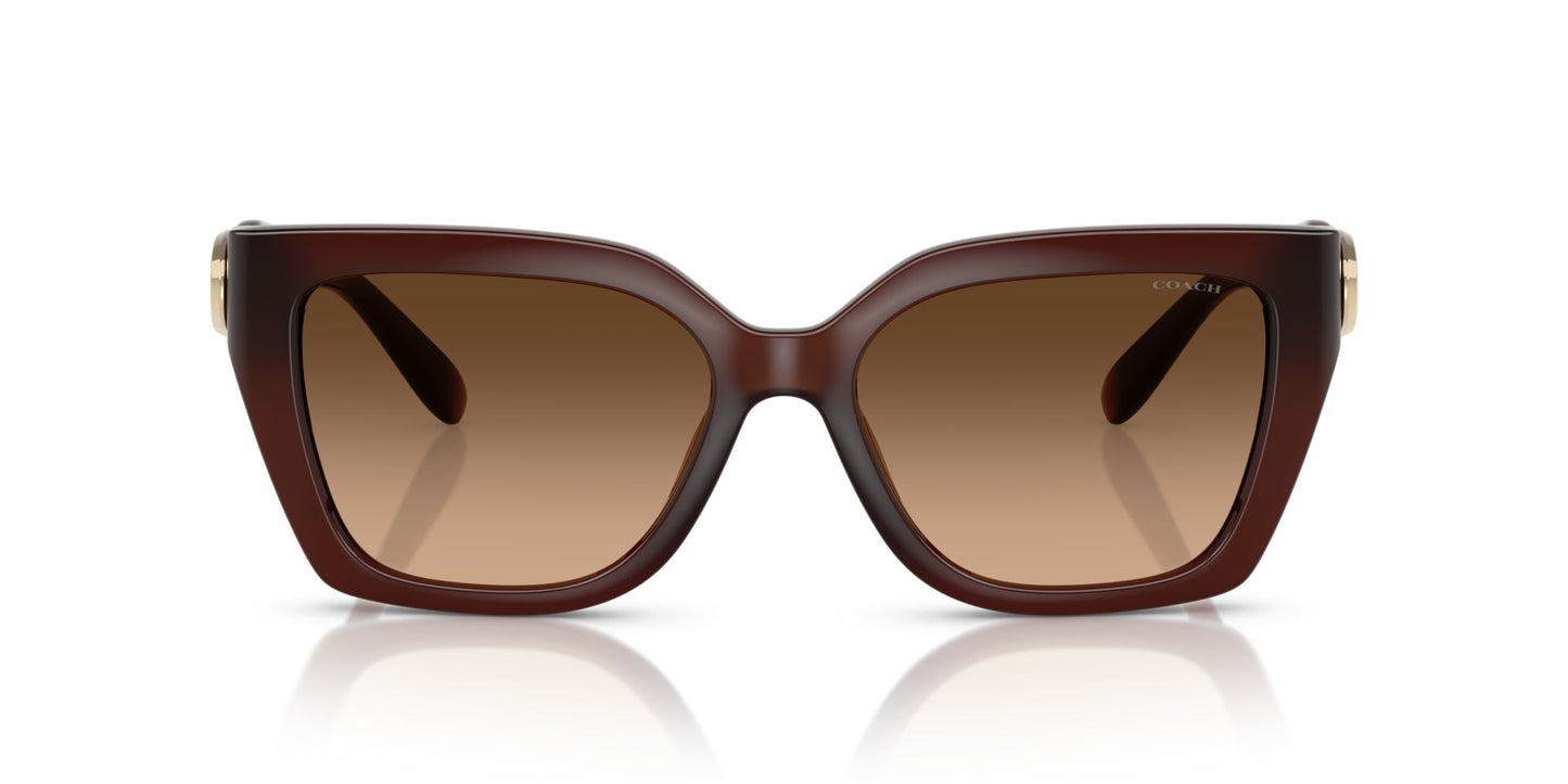 0HC8408U-Injected Woman Sunglass-Milky Hazelnut