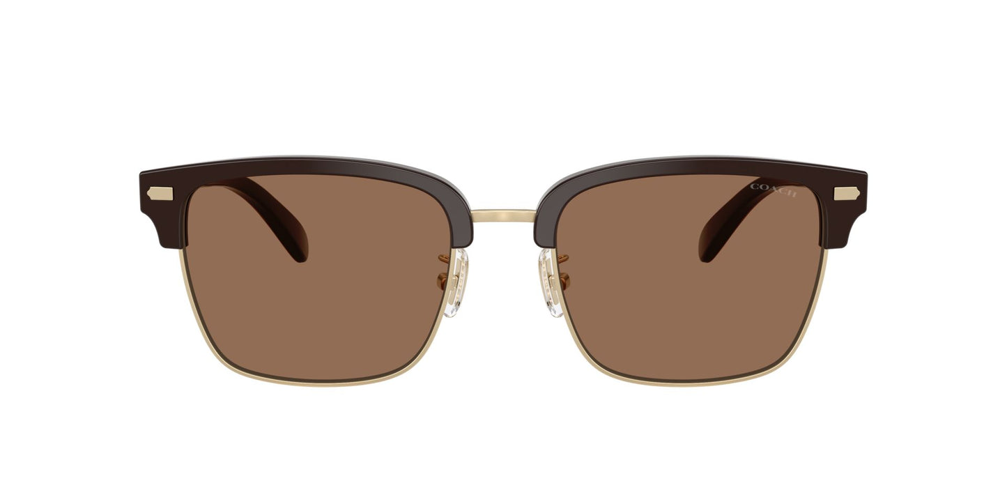 0HC8412-Acetate Man Sunglass-Light Gold / Brown