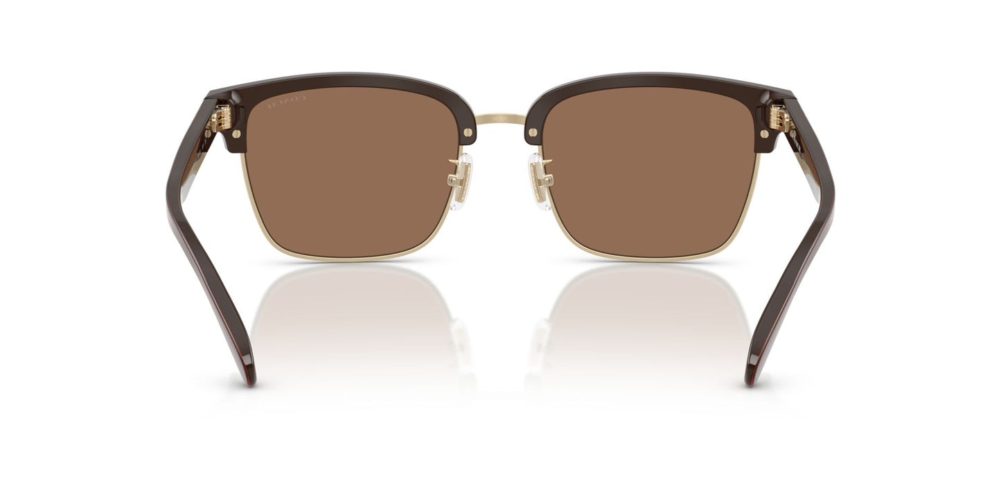 0HC8412-Acetate Man Sunglass-Light Gold / Brown