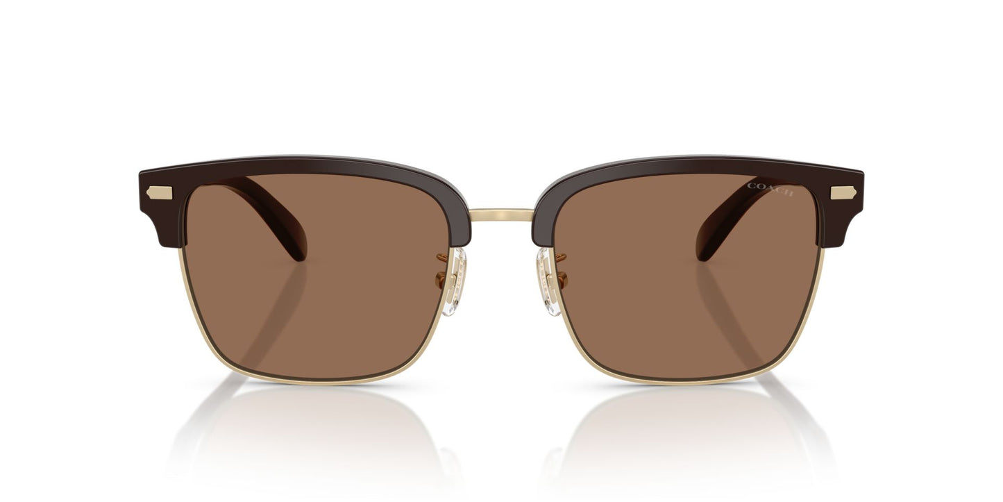 0HC8412-Acetate Man Sunglass-Light Gold / Brown