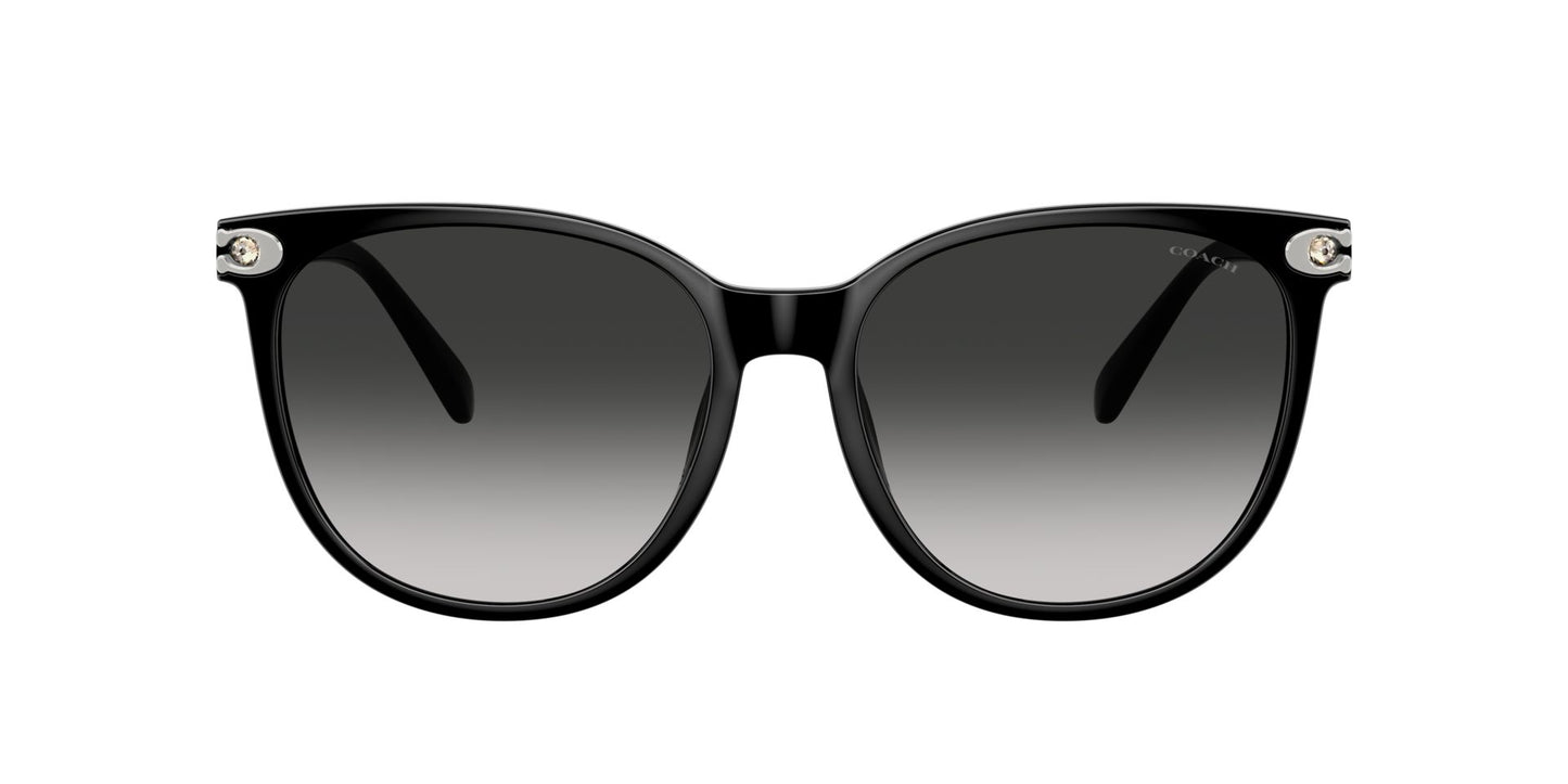0HC8414BD-Injected Woman Sunglass-Black
