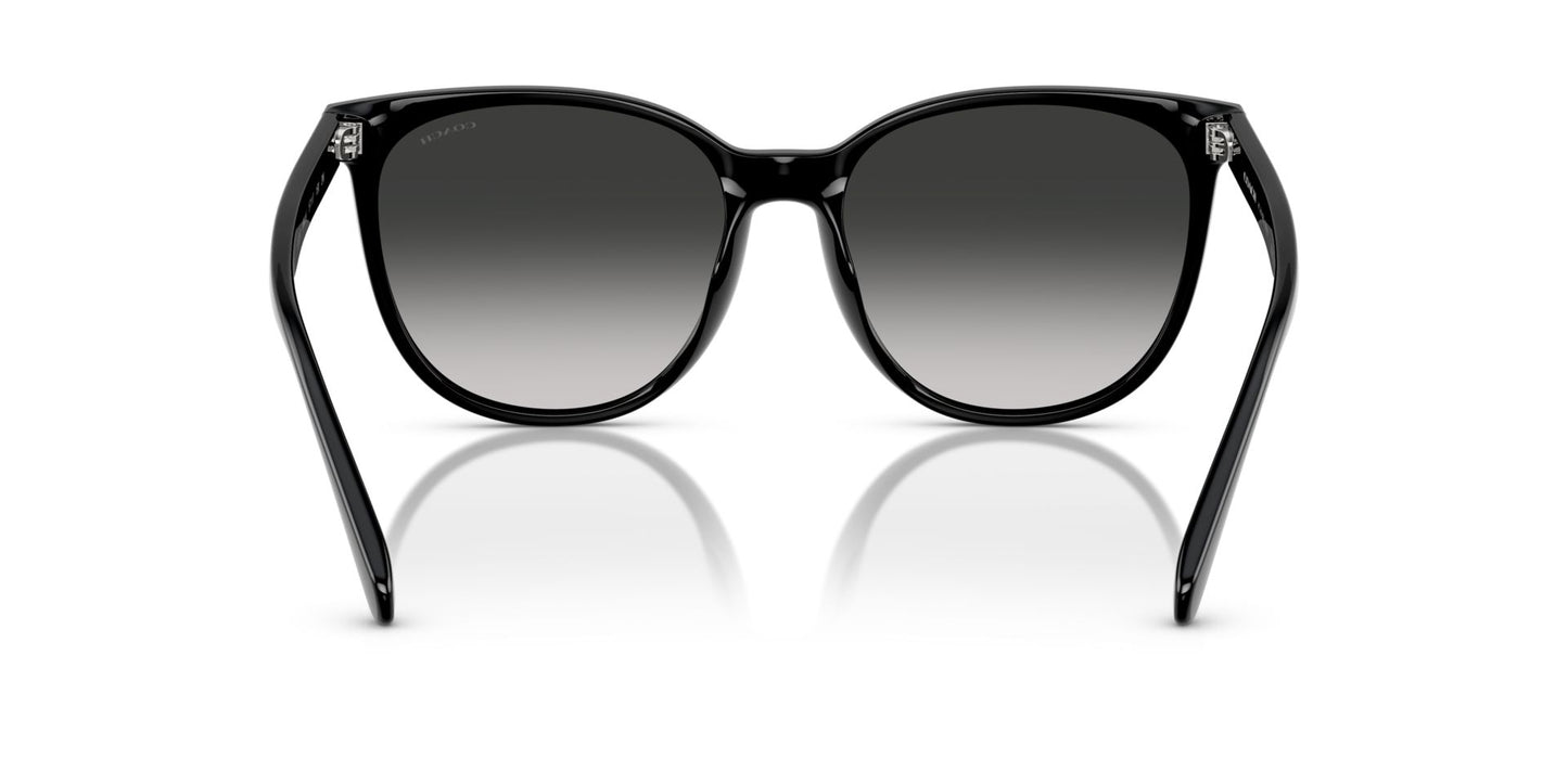 0HC8414BD-Injected Woman Sunglass-Black
