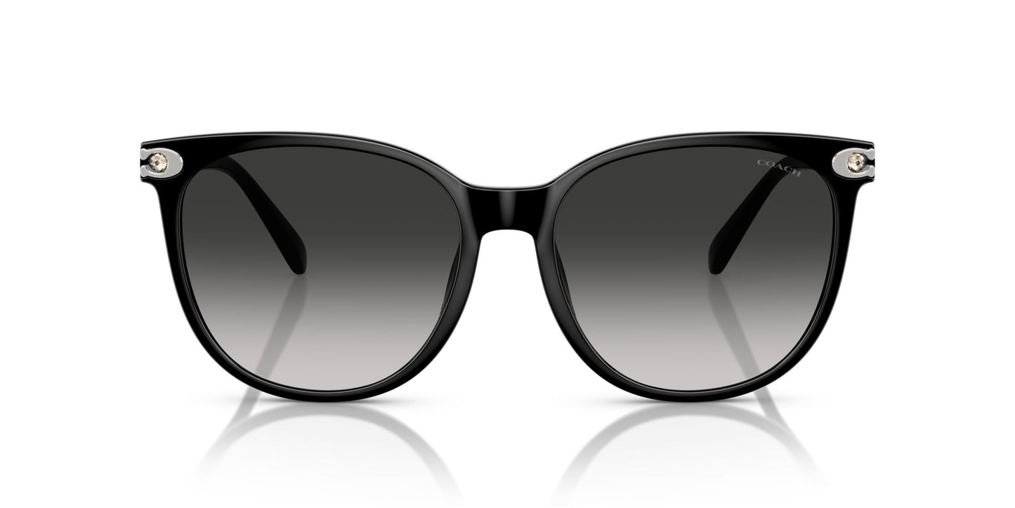 0HC8414BD-Injected Woman Sunglass-Black