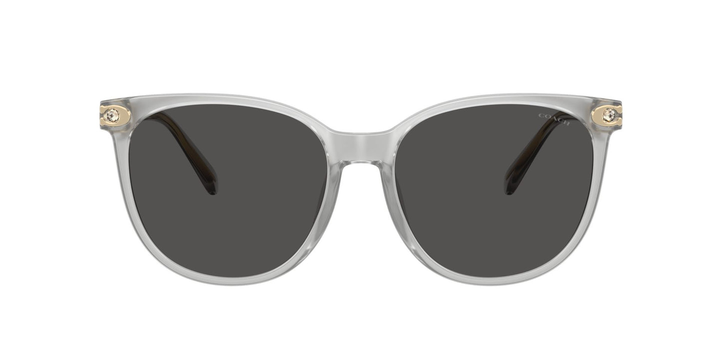 0HC8414BD-Injected Woman Sunglass-Transparent Dove