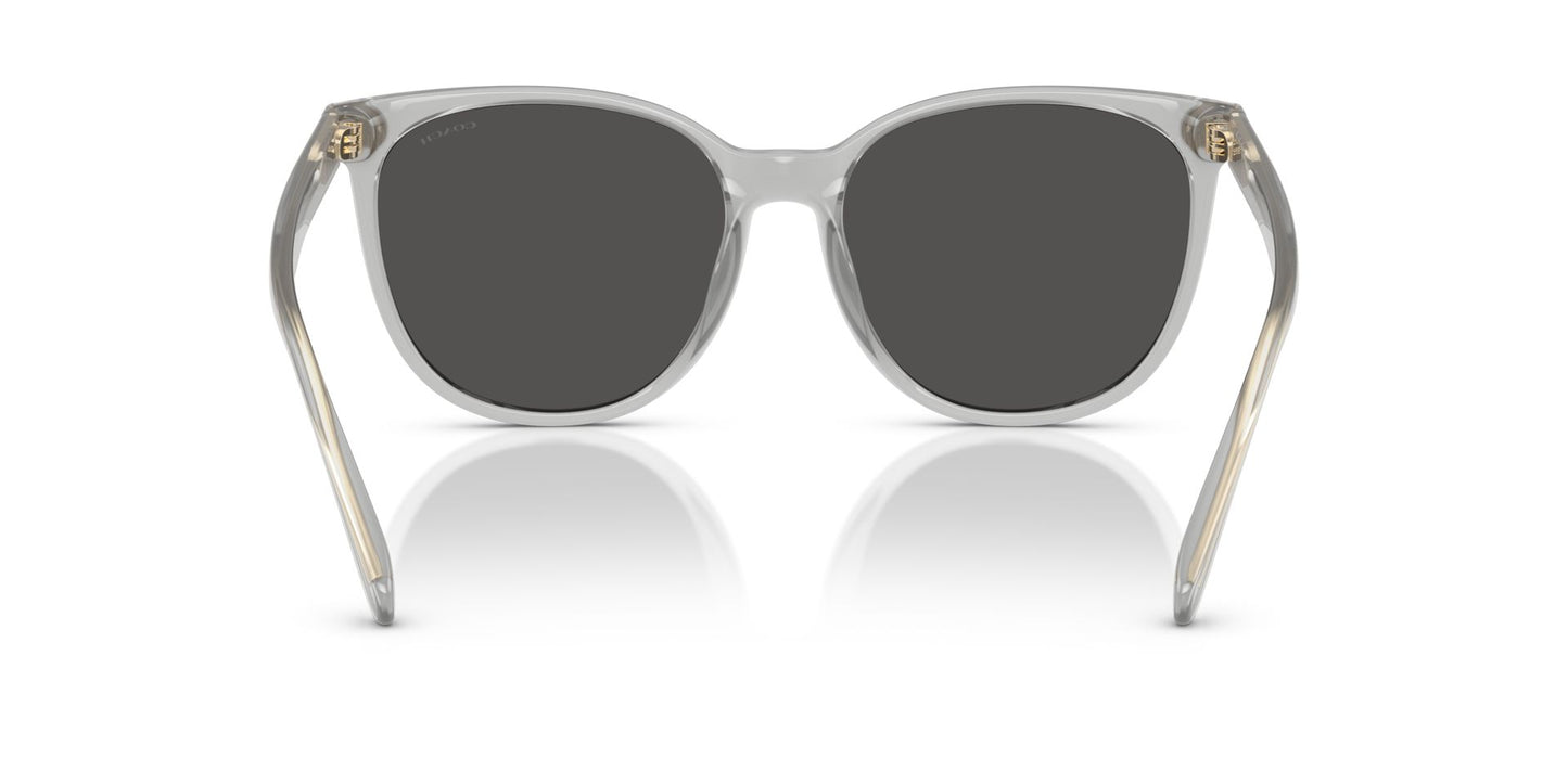 0HC8414BD-Injected Woman Sunglass-Transparent Dove