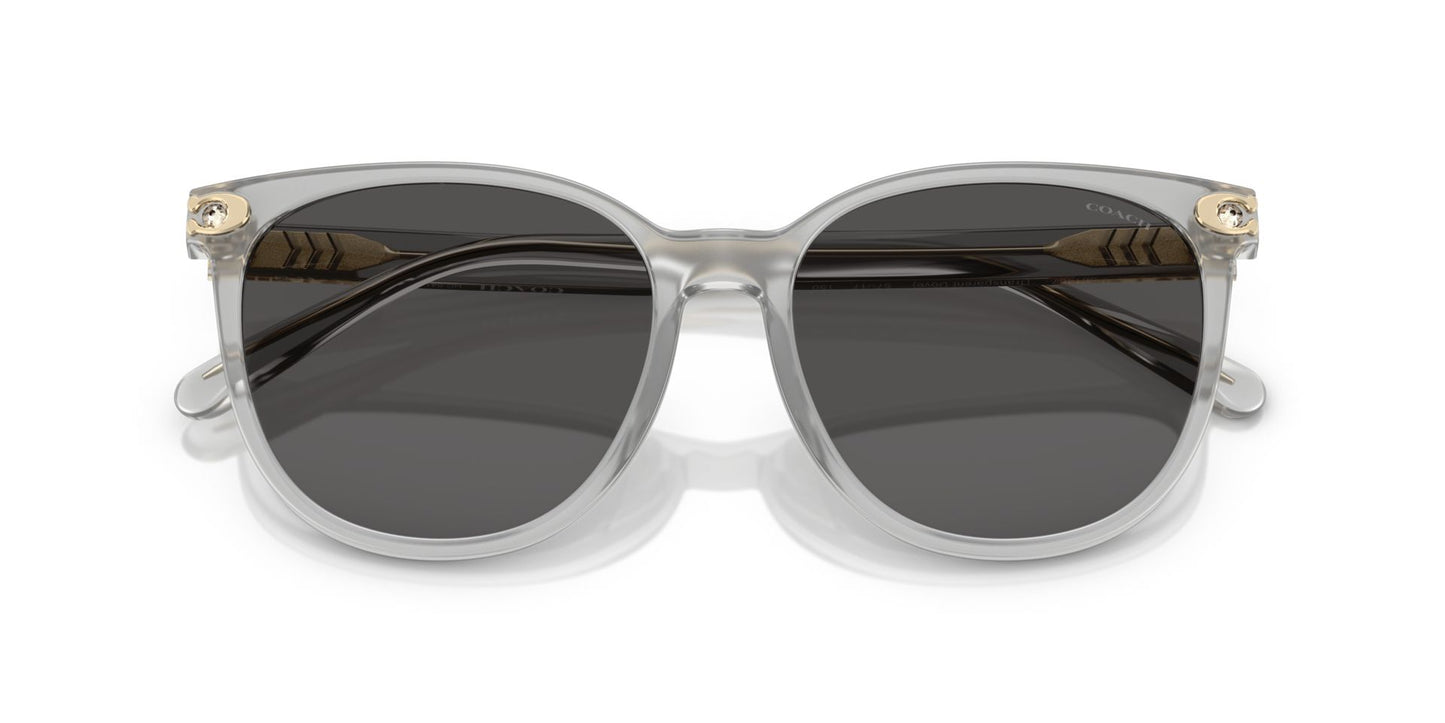 0HC8414BD-Injected Woman Sunglass-Transparent Dove
