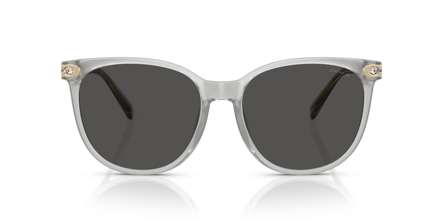 0HC8414BD-Injected Woman Sunglass-Transparent Dove