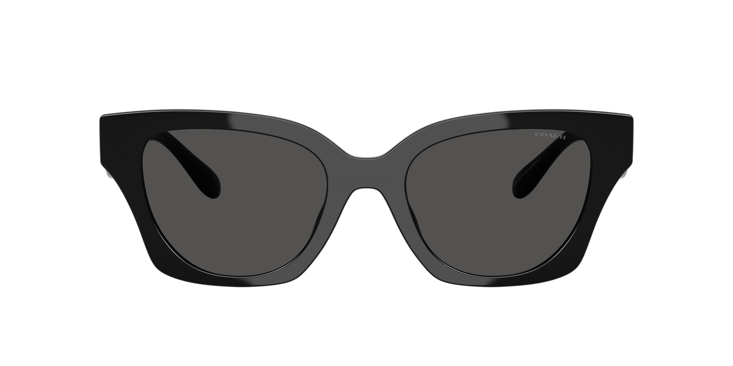 0HC8418U-Coach Sunwear-Black
