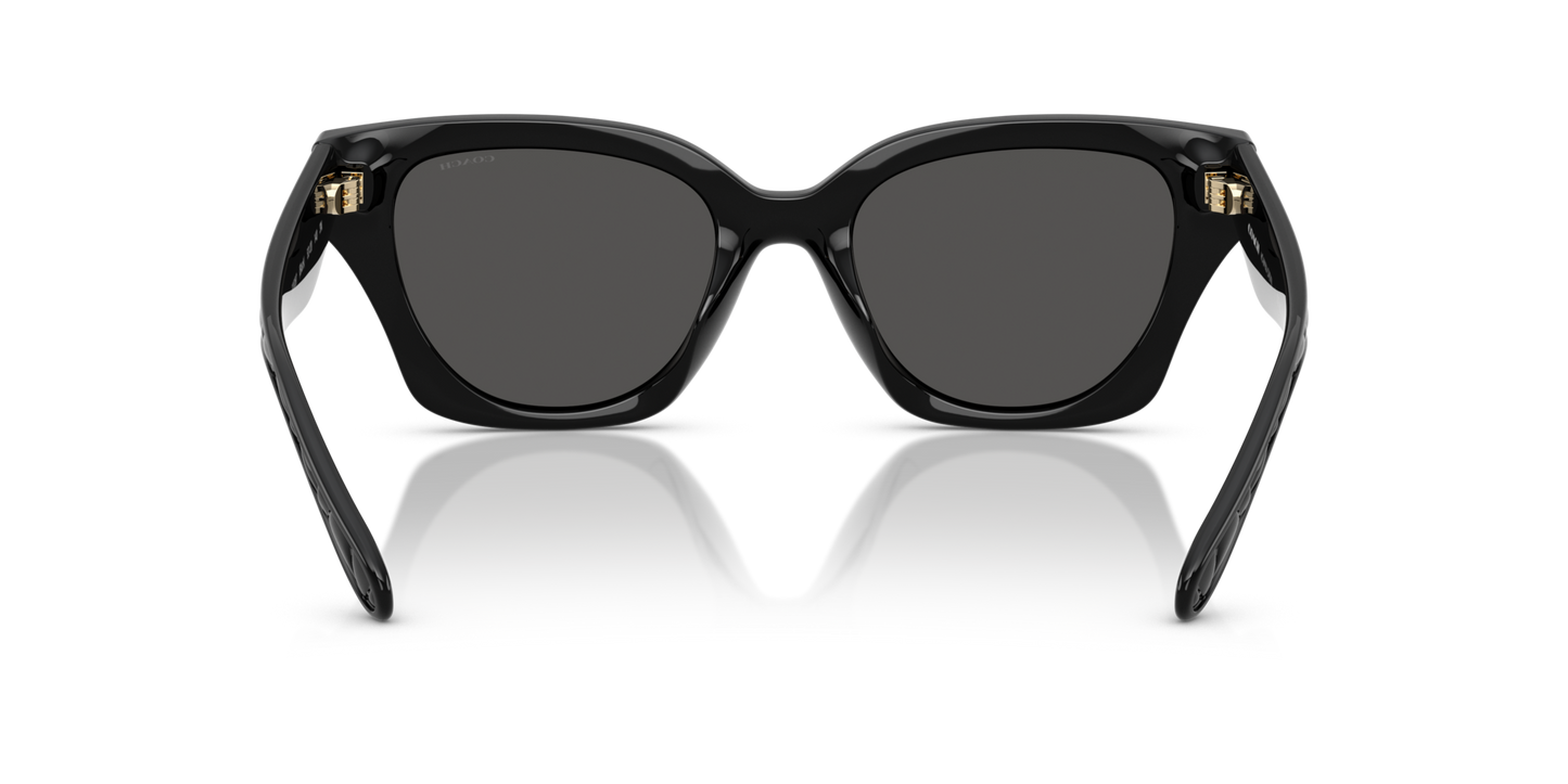 0HC8418U-Coach Sunwear-Black