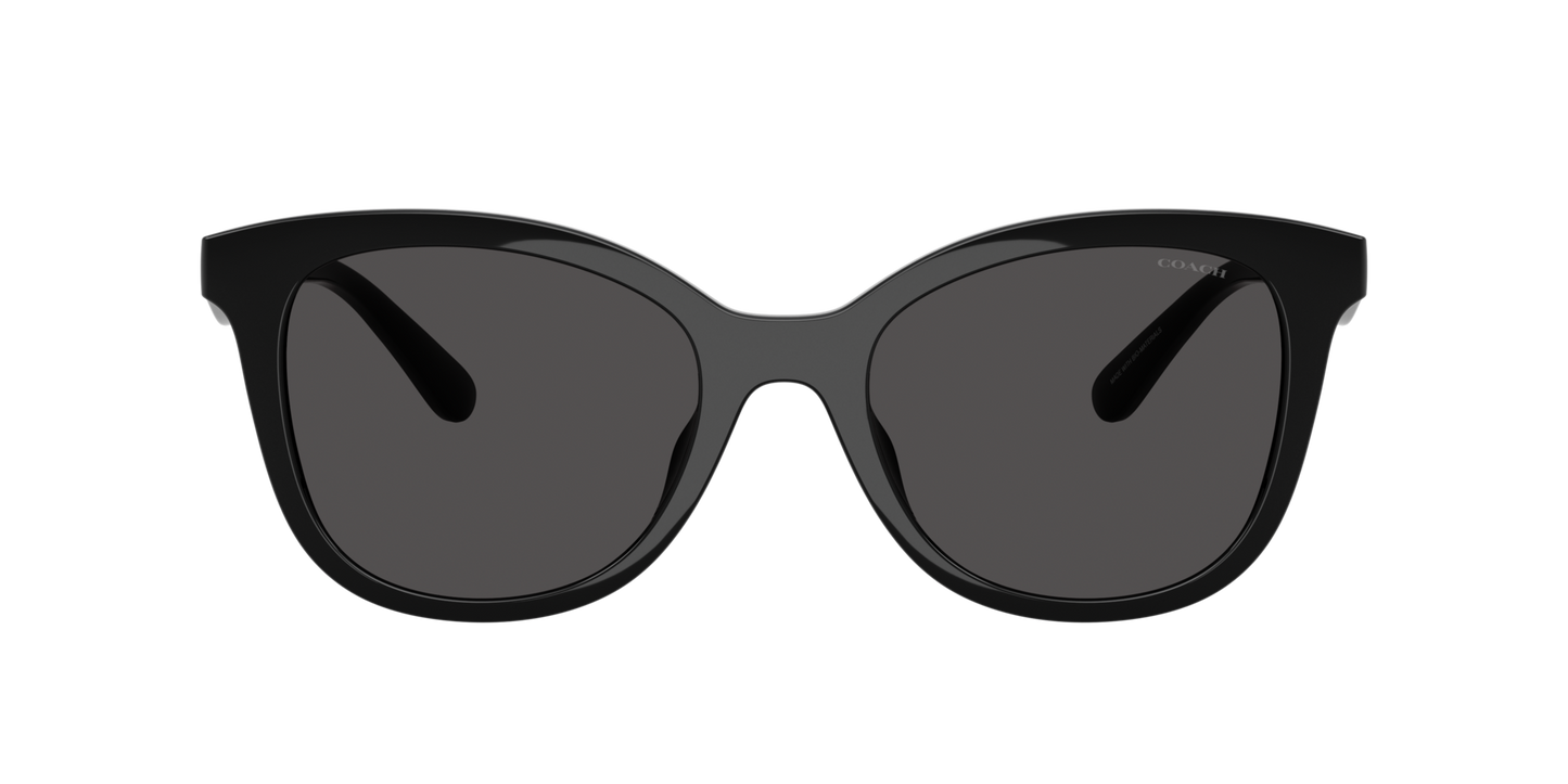 0HC8419U-Coach Sunwear-Black