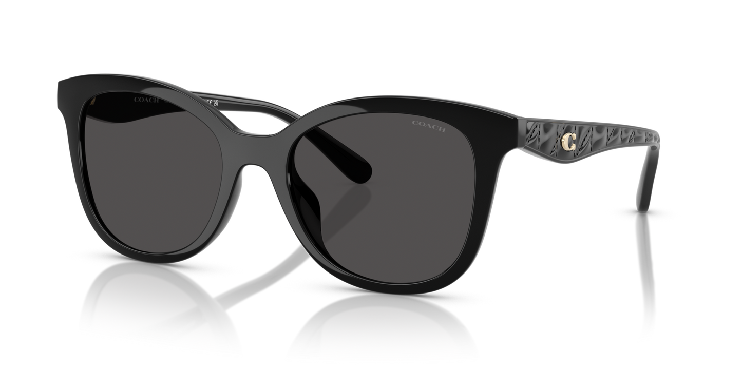 0HC8419U-Coach Sunwear-Black