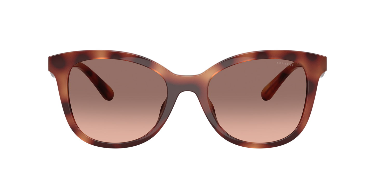 0HC8419U-Coach Sunwear-Caramel Tortoise