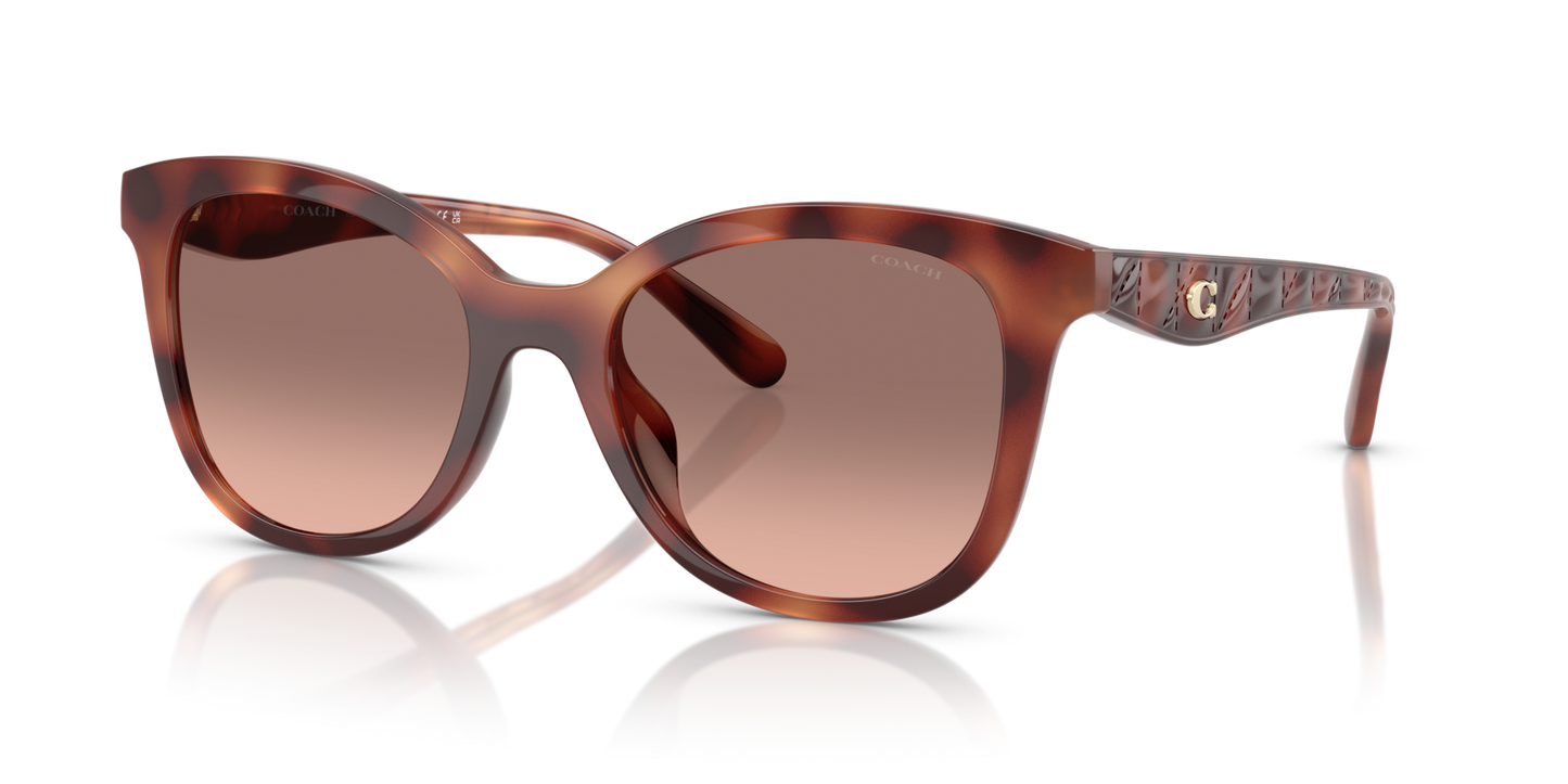0HC8419U-Coach Sunwear-Caramel Tortoise
