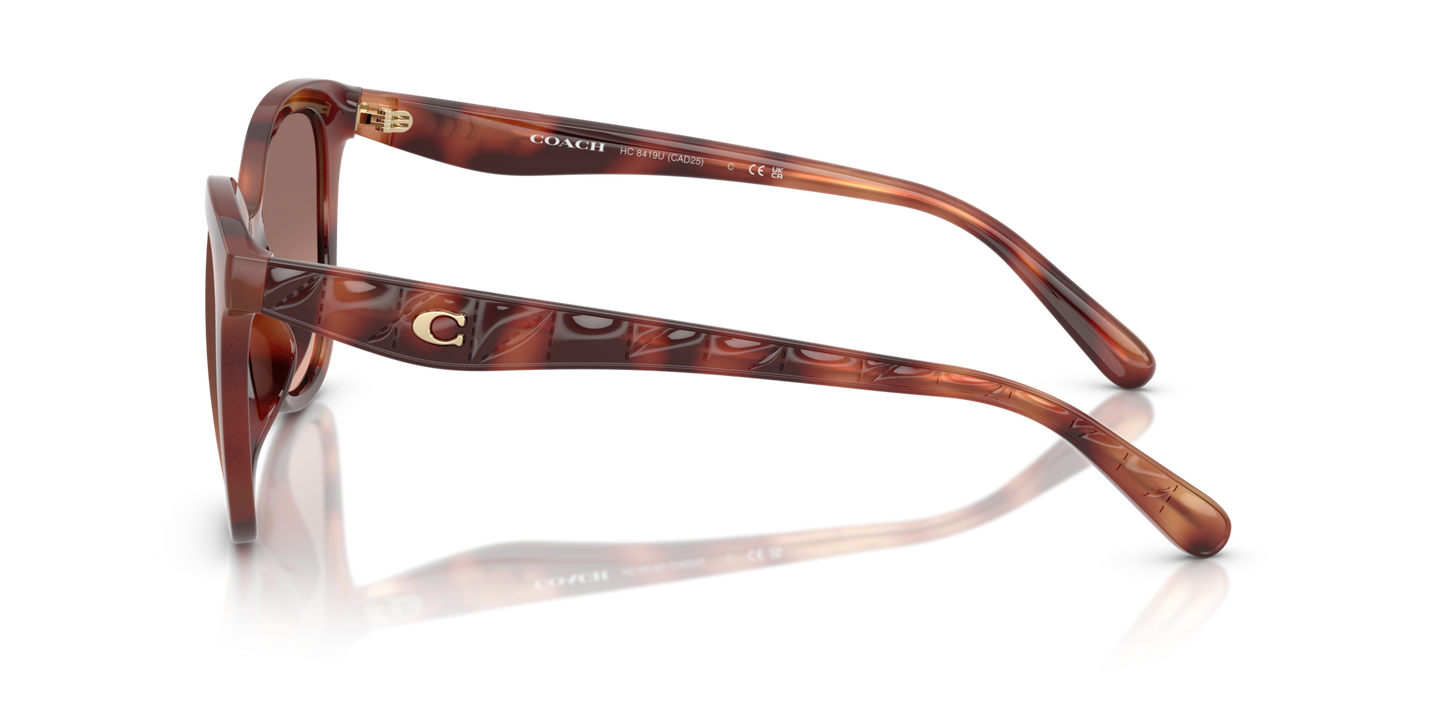 0HC8419U-Coach Sunwear-Caramel Tortoise