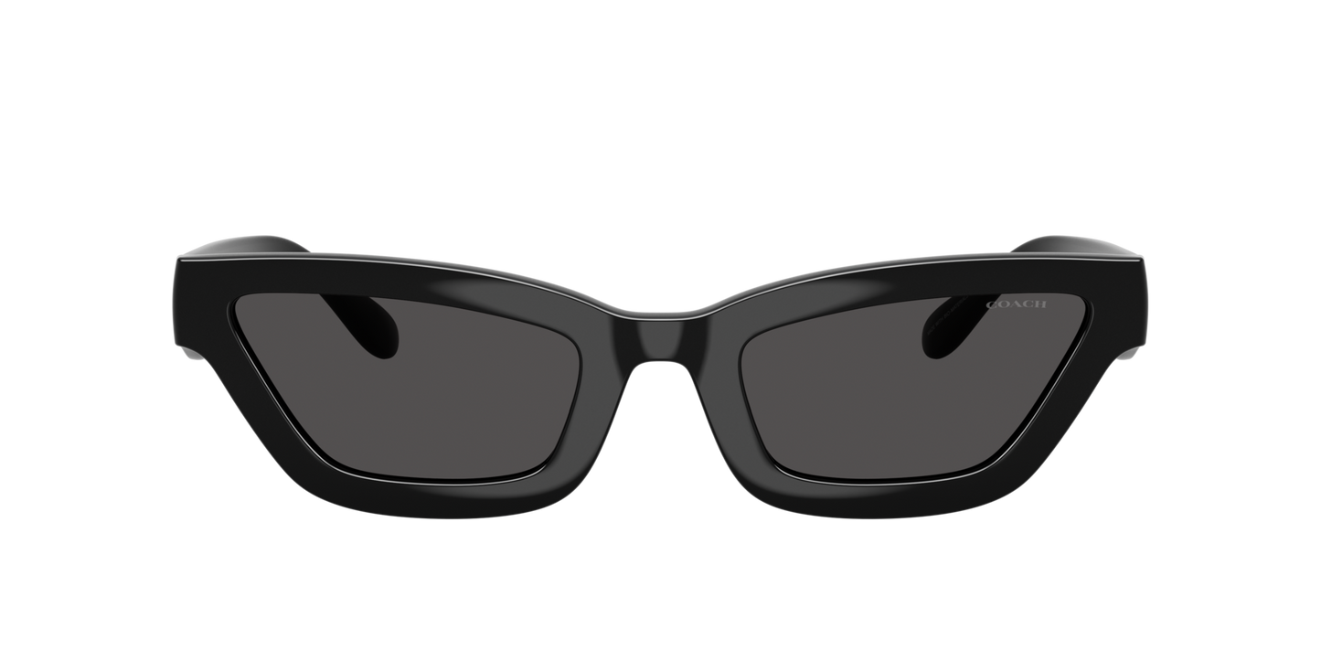 0HC8420U-Coach Sunwear-Black