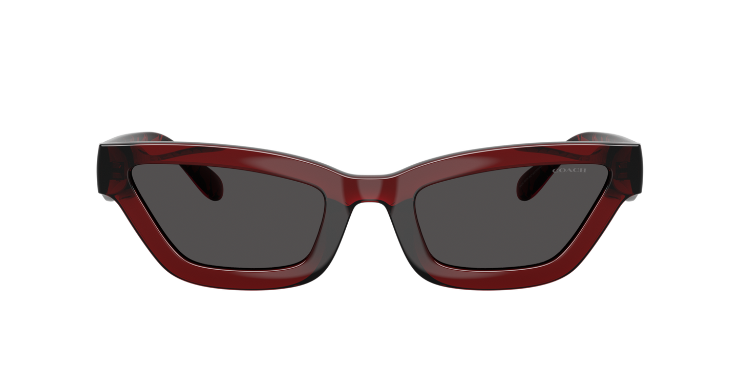 0HC8420U-Coach Sunwear-Transparent Deep Red