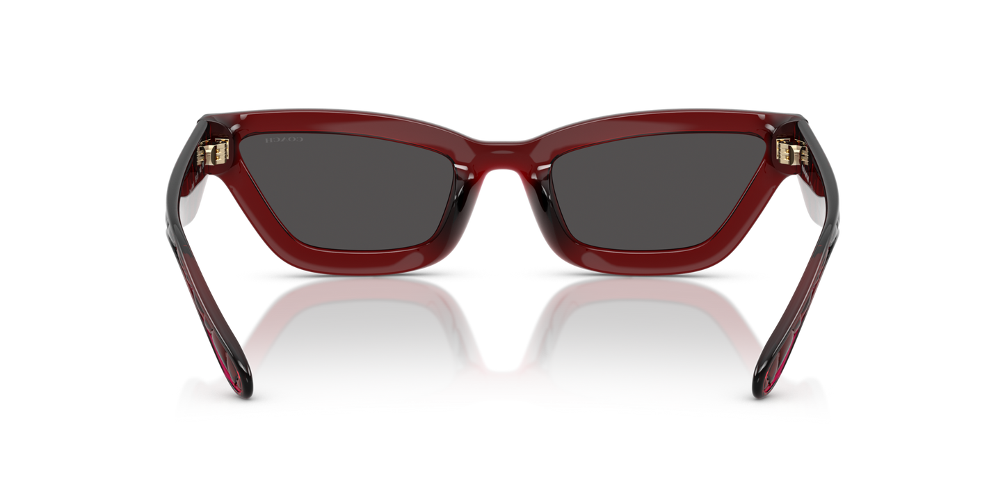 0HC8420U-Coach Sunwear-Transparent Deep Red