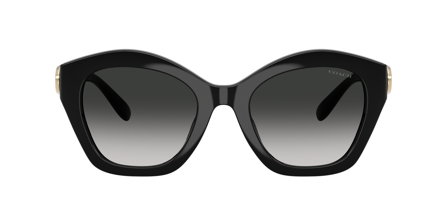 0HC8421U-Coach Sunwear-Black