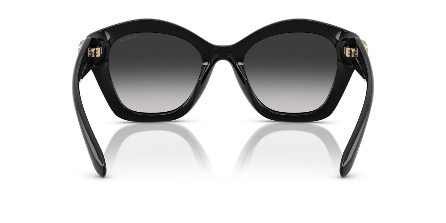 0HC8421U-Coach Sunwear-Black