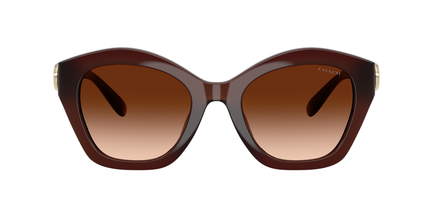 0HC8421U-Coach Sunwear-Milky Hazelnut