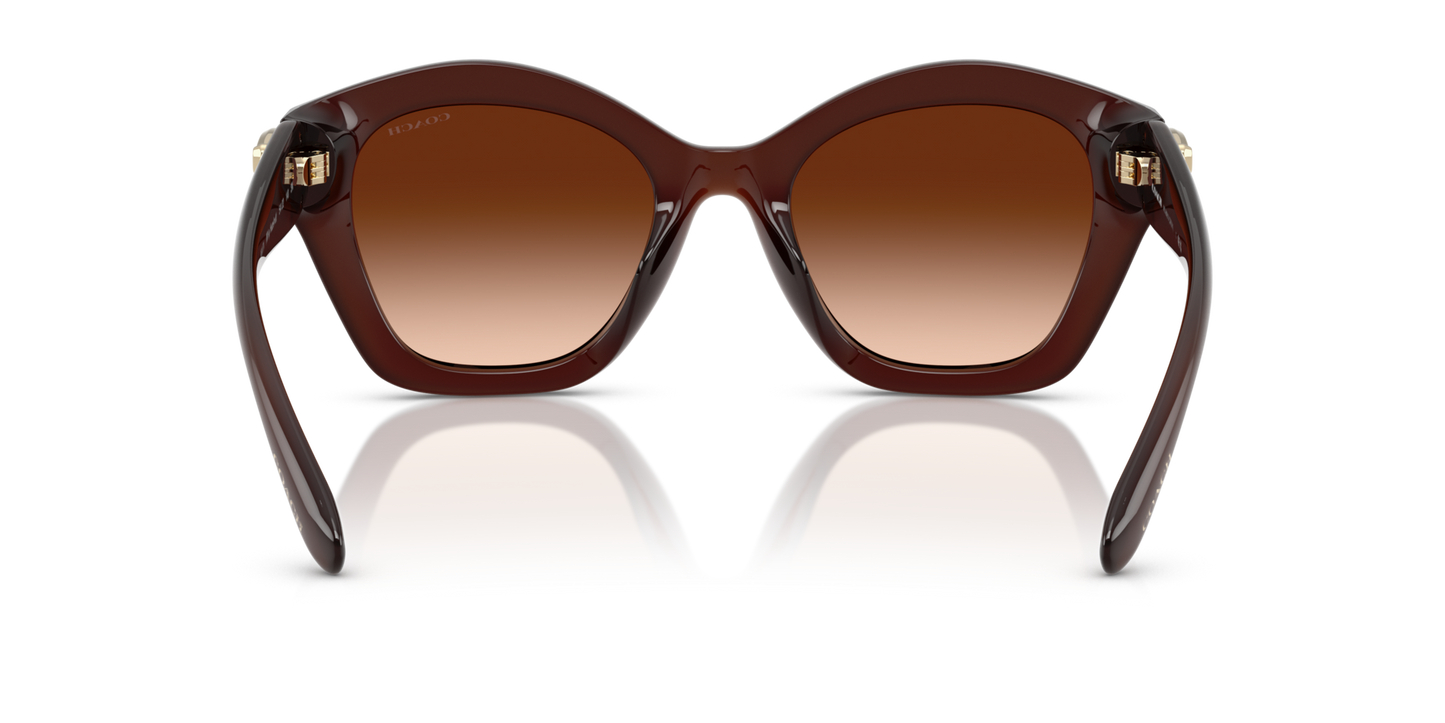 0HC8421U-Coach Sunwear-Milky Hazelnut