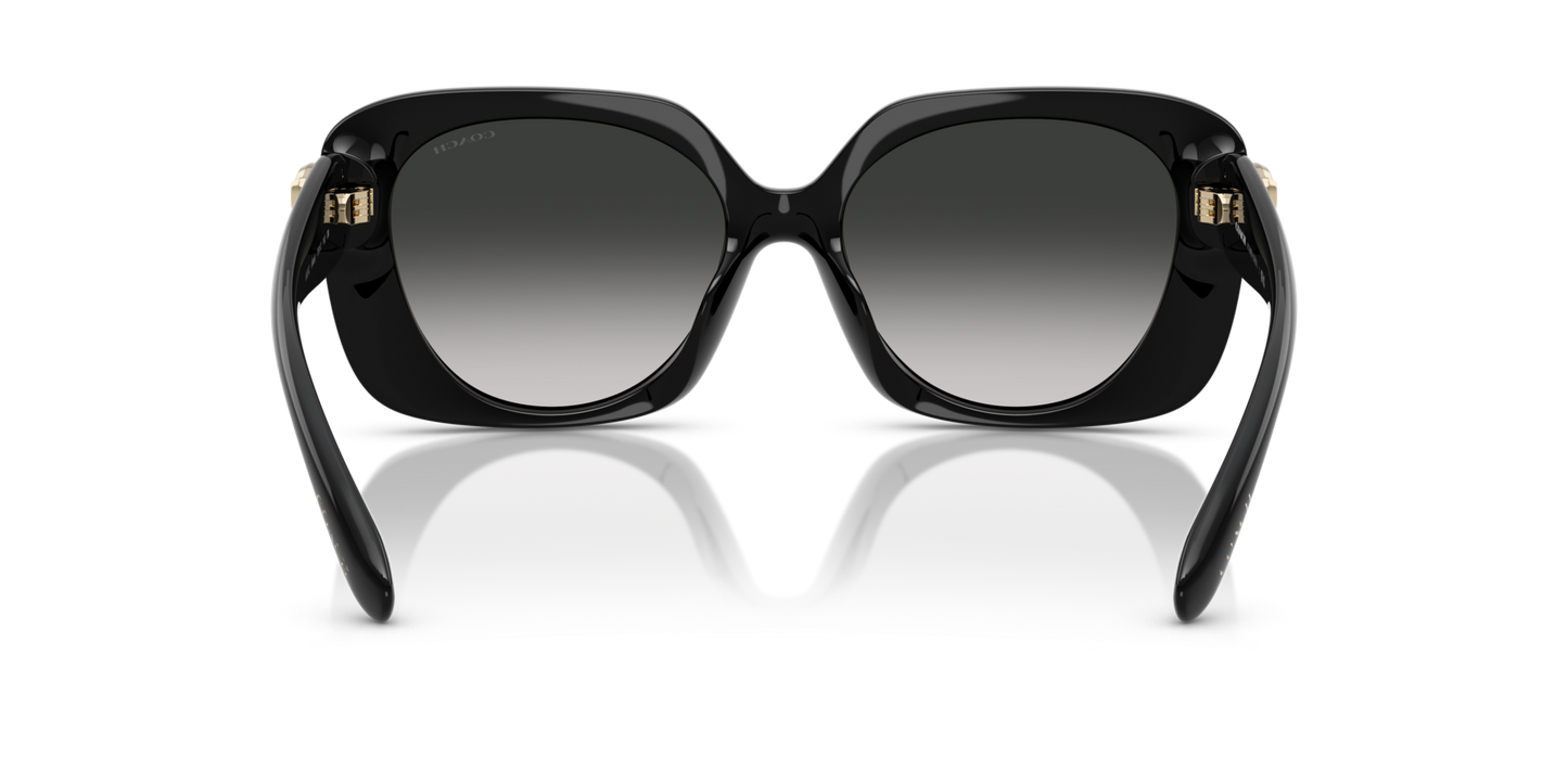 0HC8422U-Coach Sunwear-Black