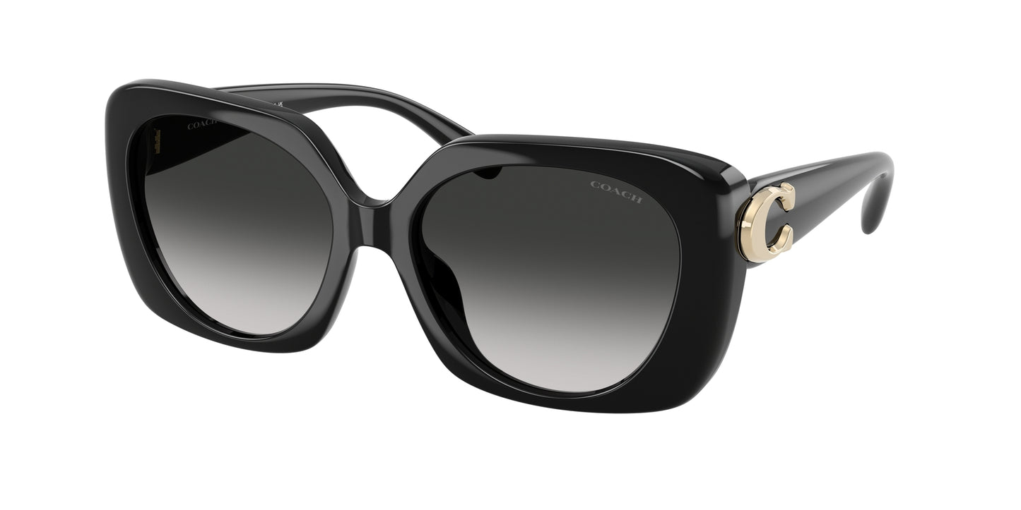 0HC8422U-Coach Sunwear-Black
