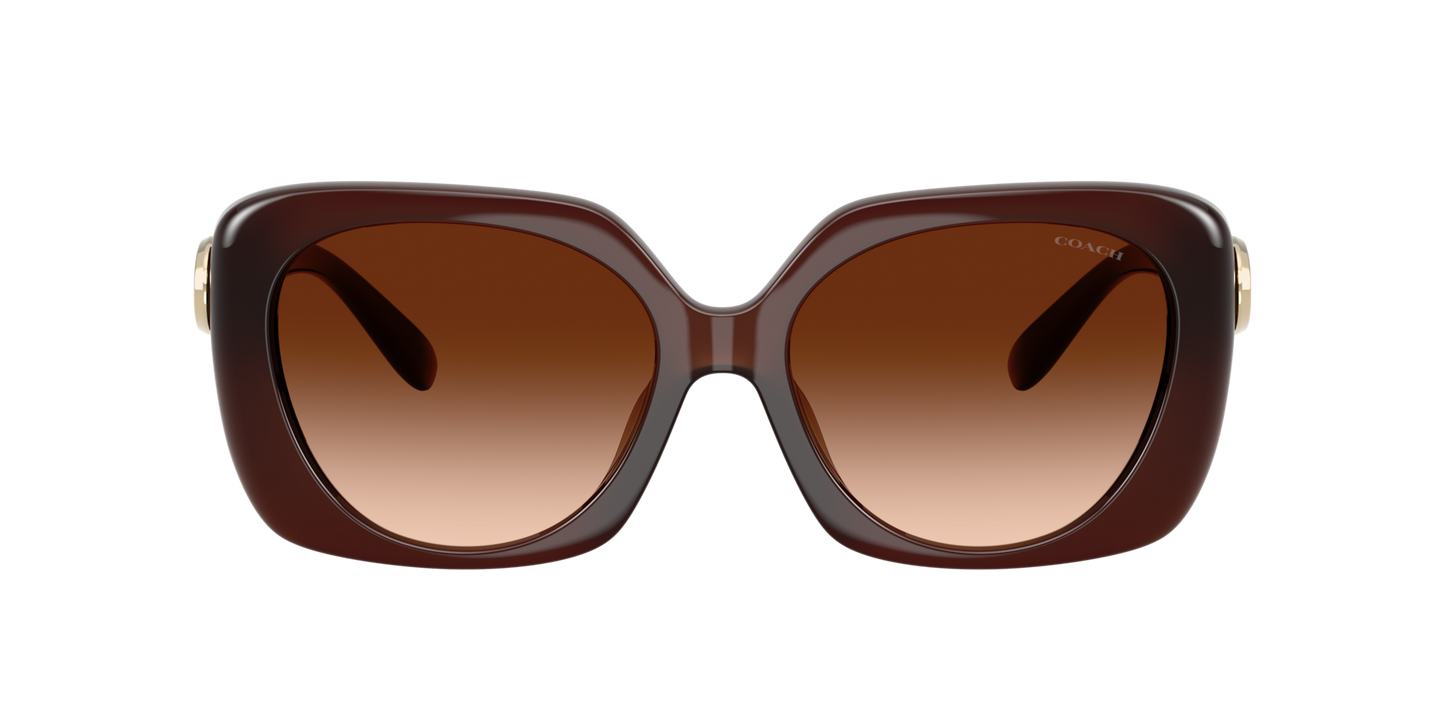 0HC8422U-Coach Sunwear-Milky Hazelnut