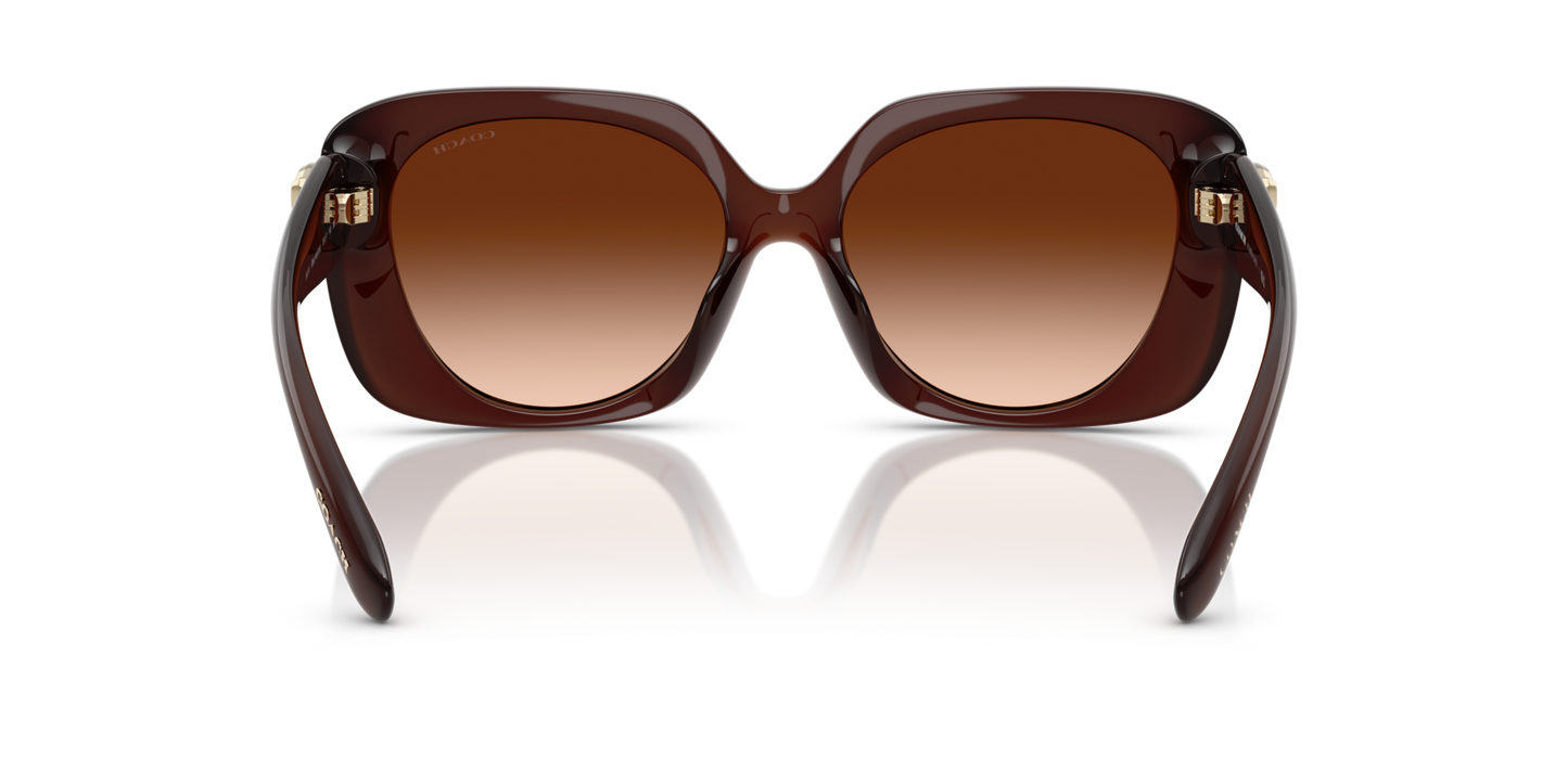 0HC8422U-Coach Sunwear-Milky Hazelnut