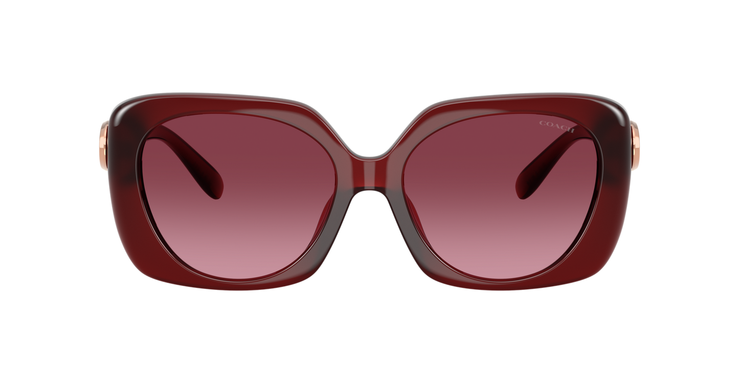 0HC8422U-Coach Sunwear-Milky Burgundy