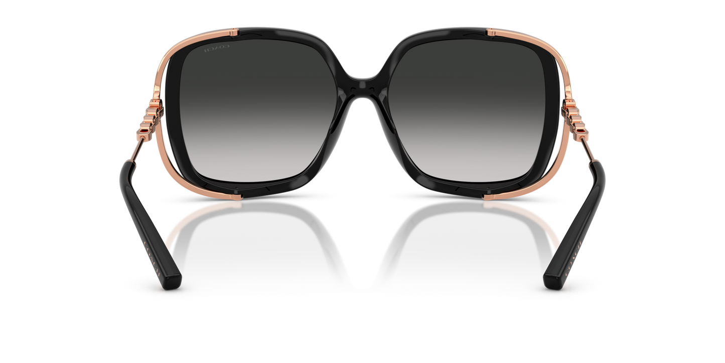 0HC8423U-Coach Sunwear-Black