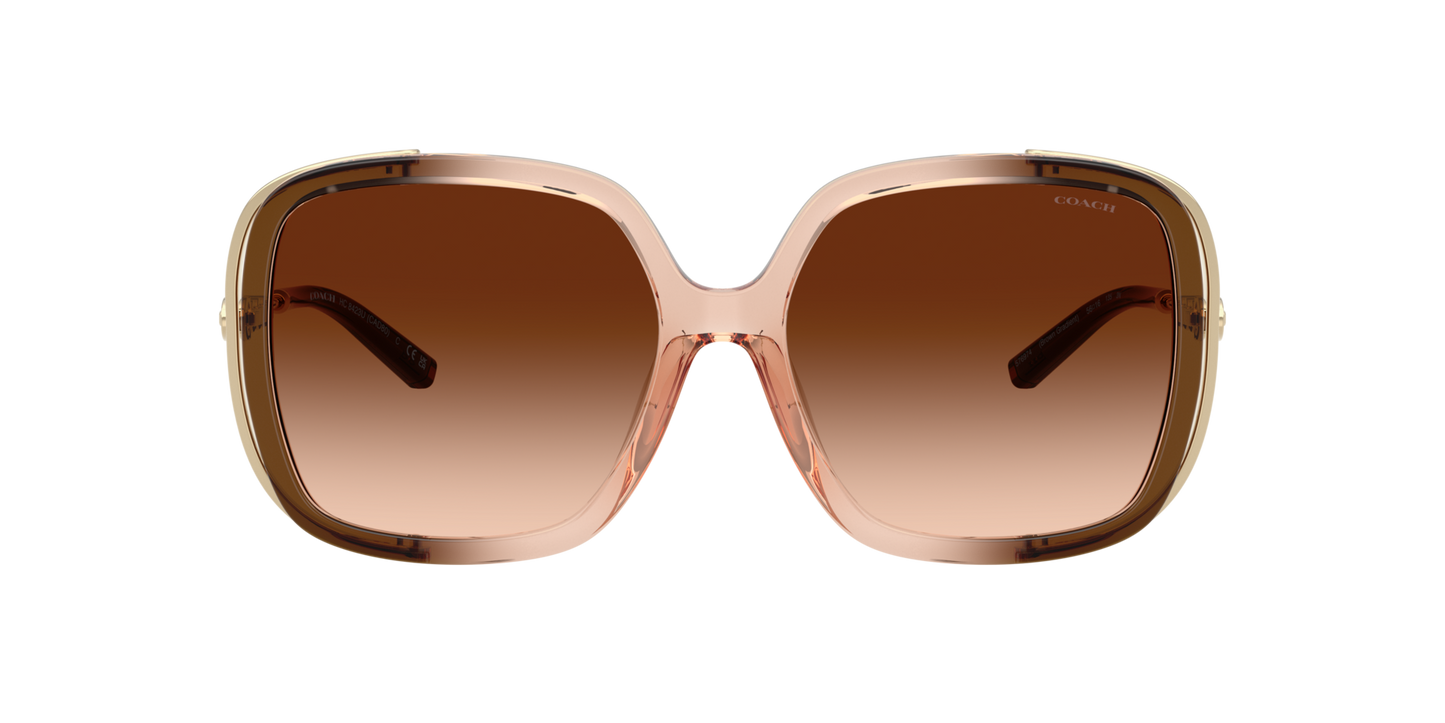 0HC8423U-Coach Sunwear-Brown Gradient