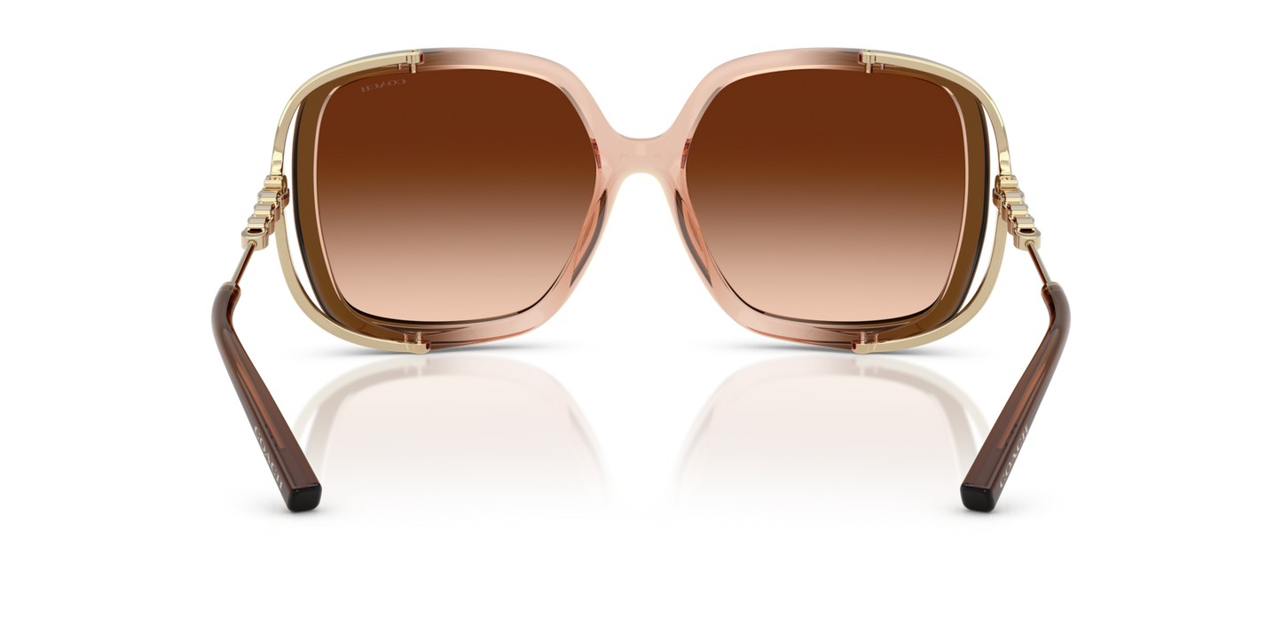 0HC8423U-Coach Sunwear-Brown Gradient