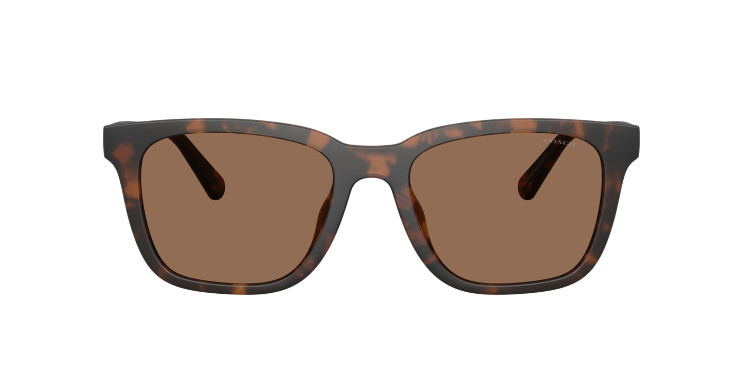 0HC8426U-Coach Sunwear-Matte Dark Tortoise