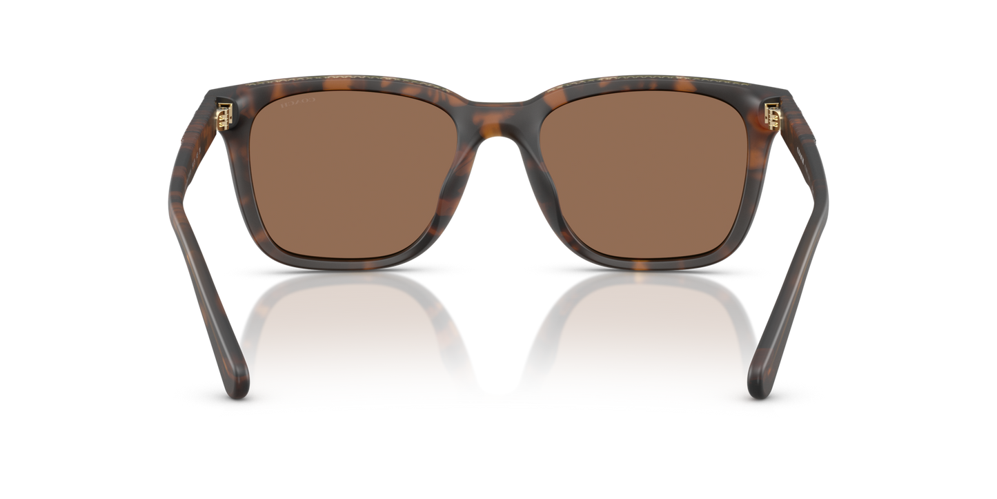 0HC8426U-Coach Sunwear-Matte Dark Tortoise