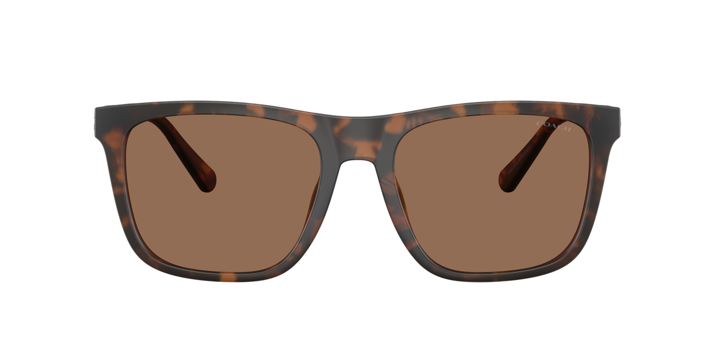 0HC8427U-Coach Sunwear-Matte Dark Tortoise