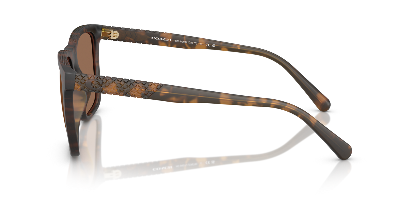 0HC8427U-Coach Sunwear-Matte Dark Tortoise
