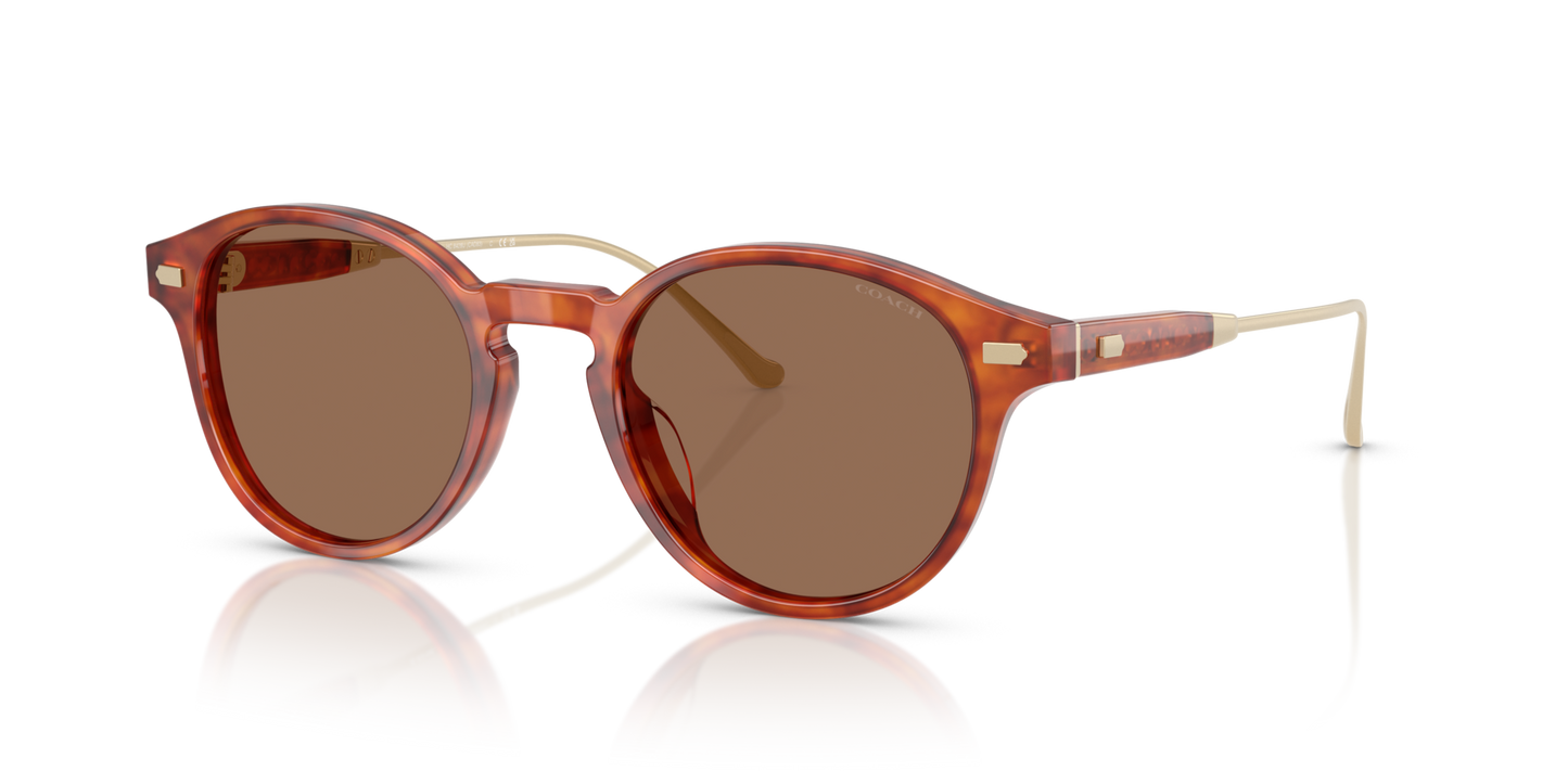 0HC8428U-Coach Sunwear-Caramel Tortoise